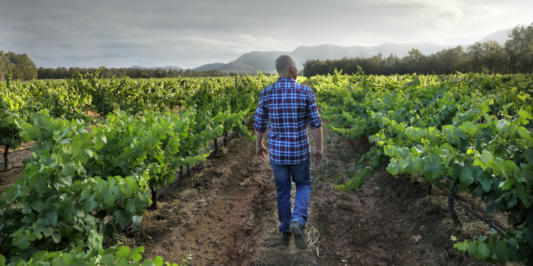 Semsational Semillon Lunches