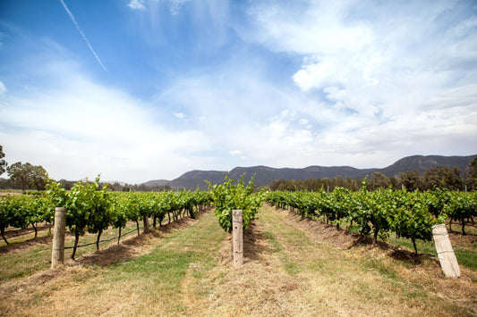 Braemore Vineyard: Finalist for Australia's Top Vineyards