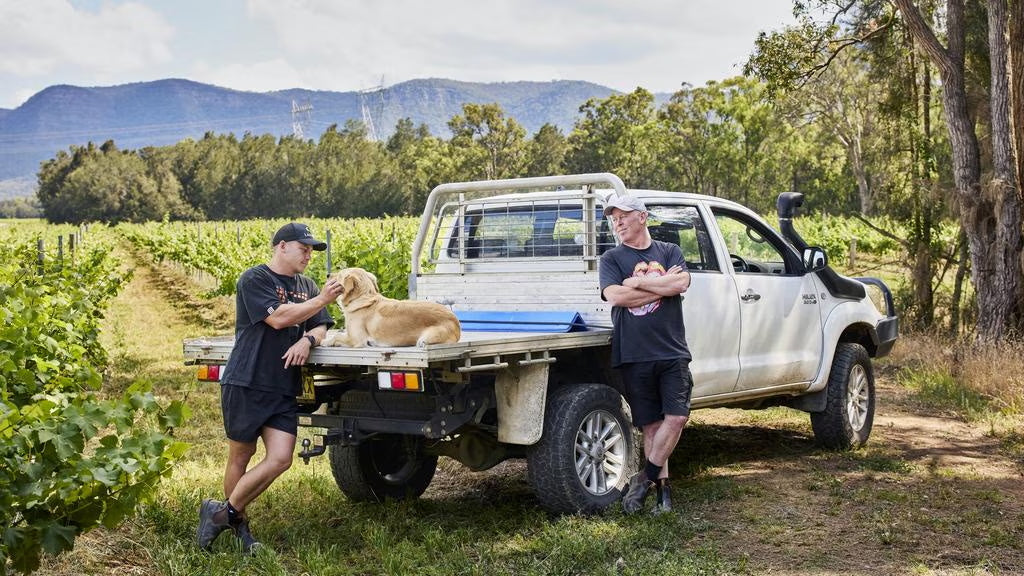 Our Commitment to Sustainability at Thomas Wines