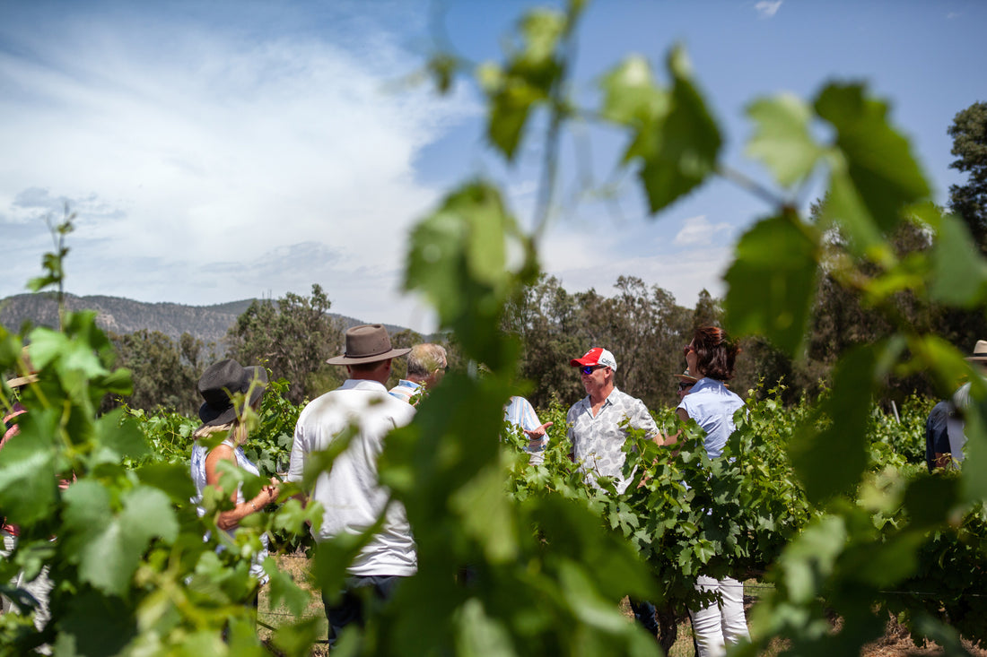 Not One, but Two Wines in the TOP 100