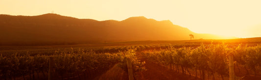 The best approach for the perfect Hunter Valley Getaway