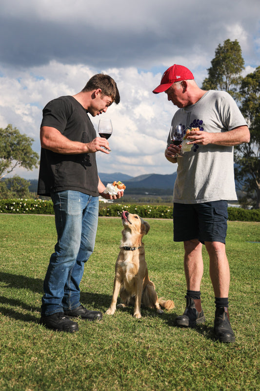 1pm Tasting with Thommo: 2024 Shiraz Release 16th May, Cellar Door Pokolbin