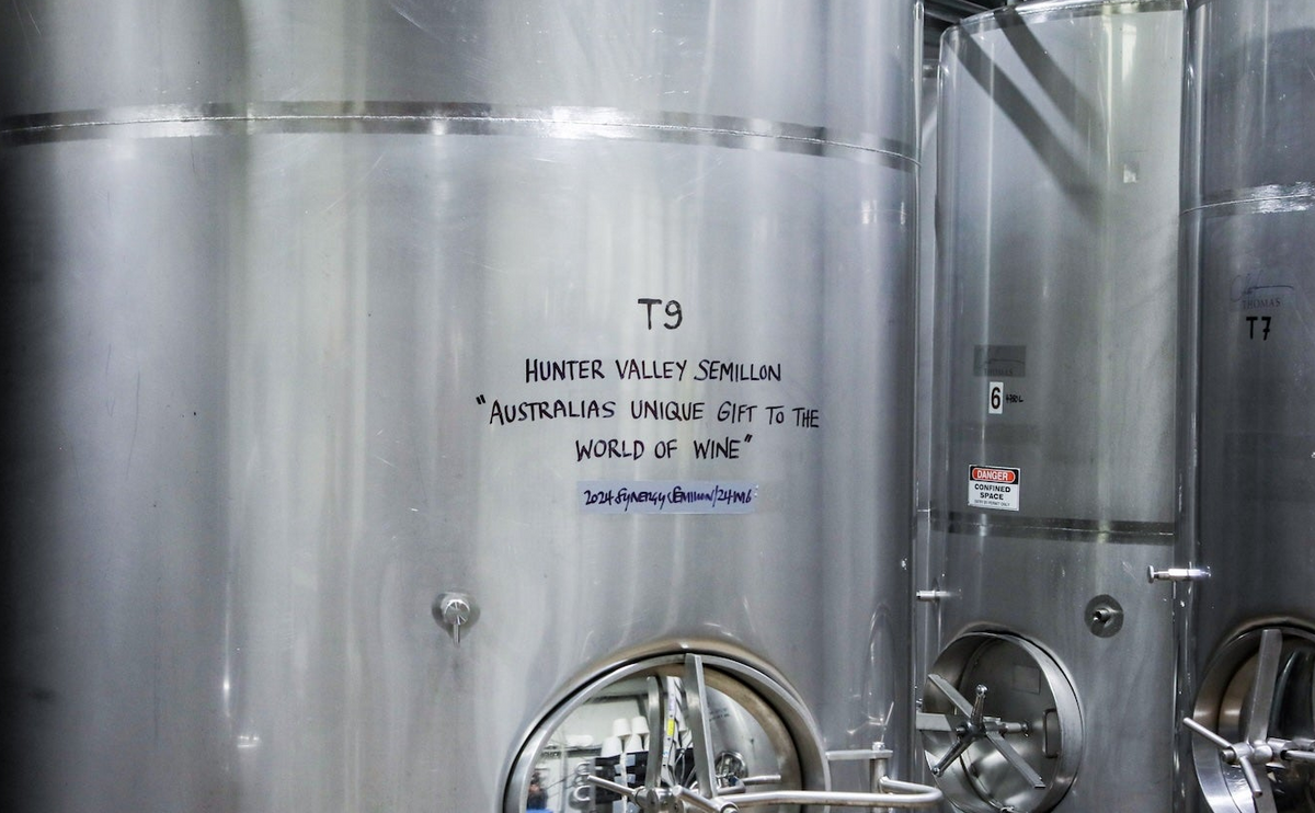 Stainless-steel Hunter Valley Semillon fermentation tanks at Thomas Wines