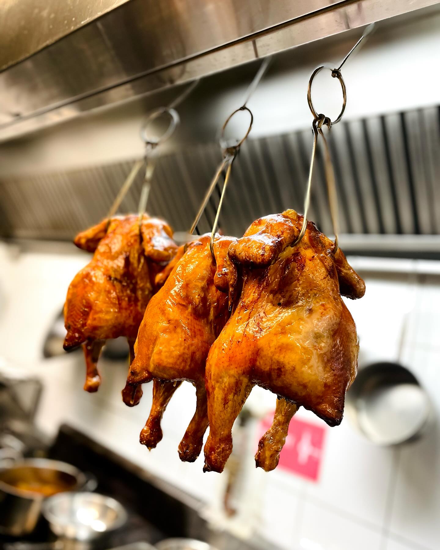 Shiraz Release Dinner:6th May at Chairman Yip Canberra